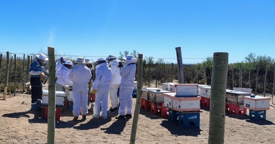 Formación práctica en apicultura: La Planta Apícola fortalece el aprendizaje de nuevos productores.