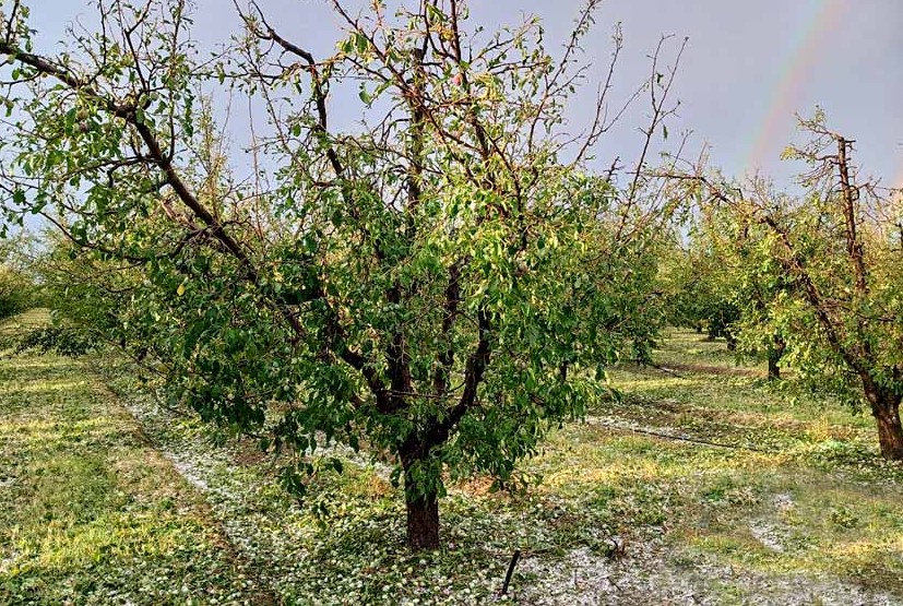 Alerta en Mendoza: viernes inestable con tormentas fuertes y vientos