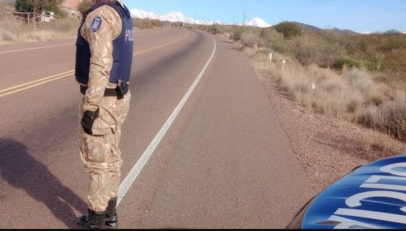 Operativo en Real del Padre: descubren traslado irregular de bovinos