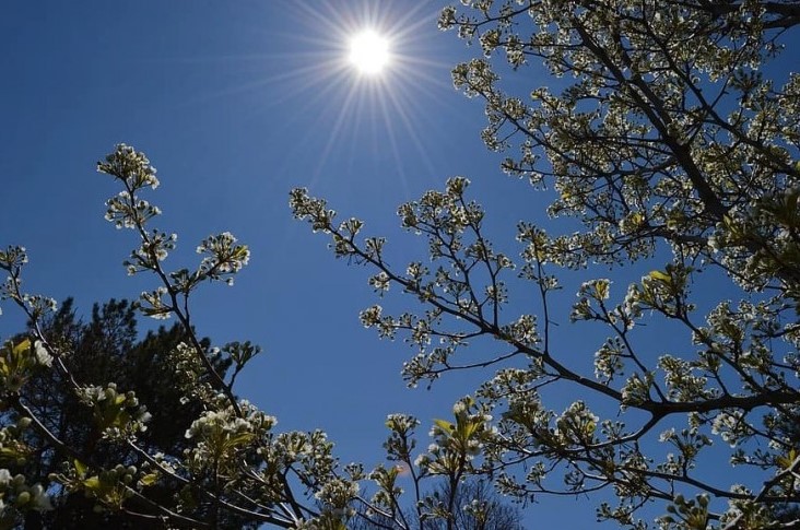 Pronóstico del tiempo en General Alvear: clima de hoy, 1 de octubre de 2025
