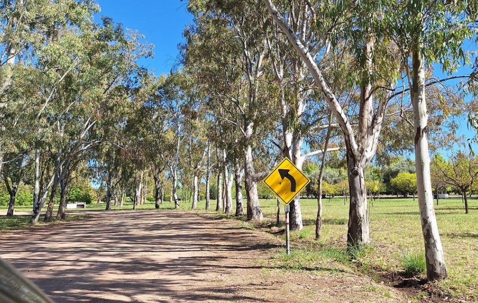 Licencias de conducir: circuito para principiantes en el Parque Perón