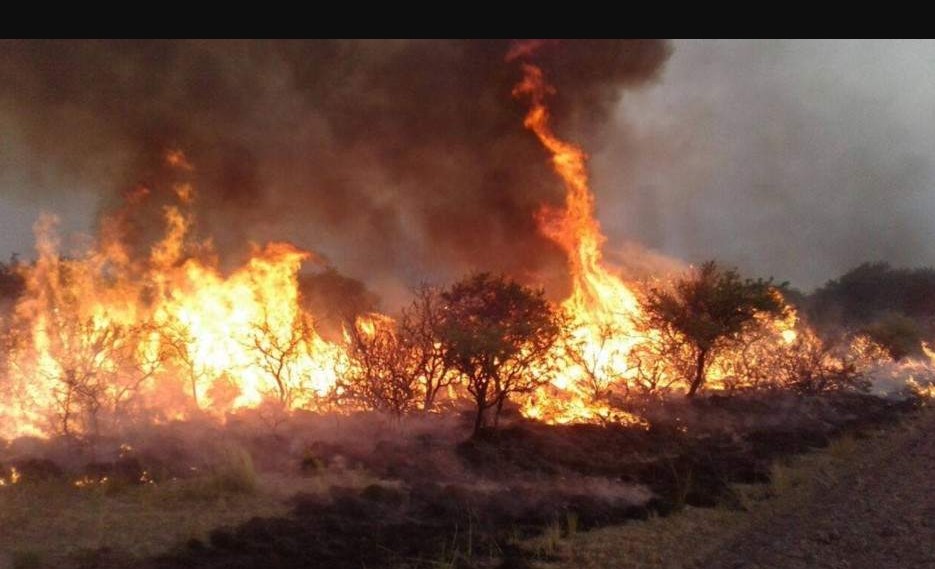 General Alvear: cuatro focos de incendio en distintas zonas del departamento