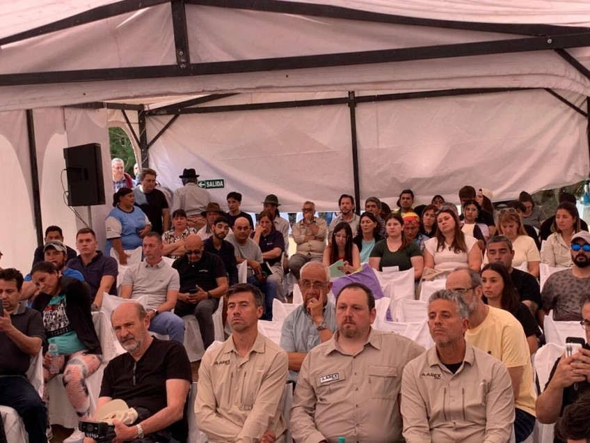 Un proyecto de cobre con reservas estimadas en 257 mil toneladas de mineral, obtuvo amplio respaldo en Malargüe