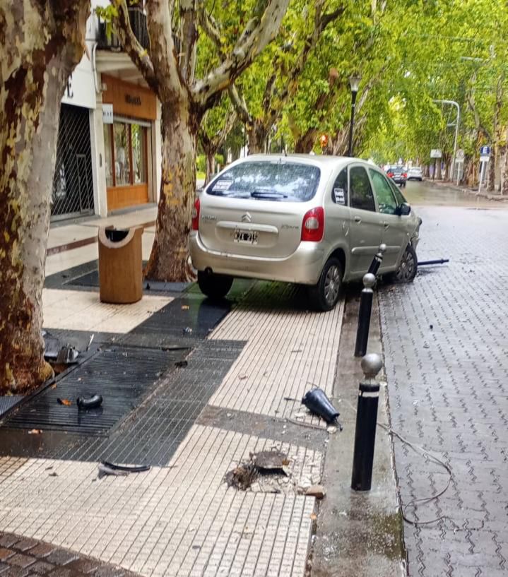 Conductor deberá pagar los graves daños que provocó en el Paseo Pellegrini