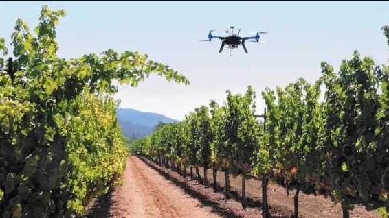 Alerta en Lavalle por personas que filman fincas y simulan ser municipales