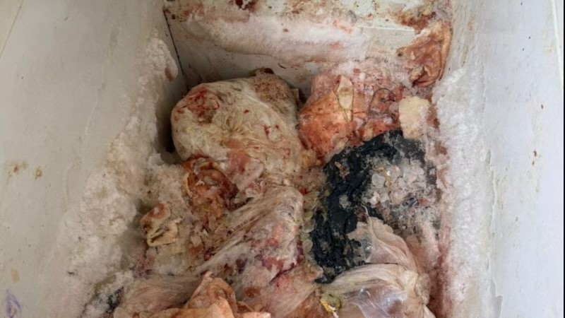 Decomisan 70 kilos de carne de cerdo en mal estado