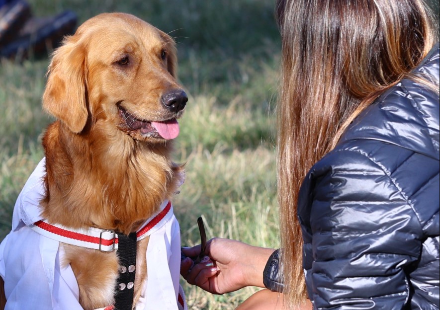 El móvil veterinario continúa recorriendo los distritos de Maipú