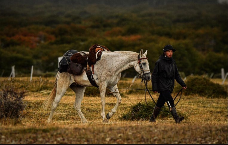Orgullo malargüino en la Patagonia: Andrés Rojas participa de una histórica travesía de 400 kilómetros a caballo