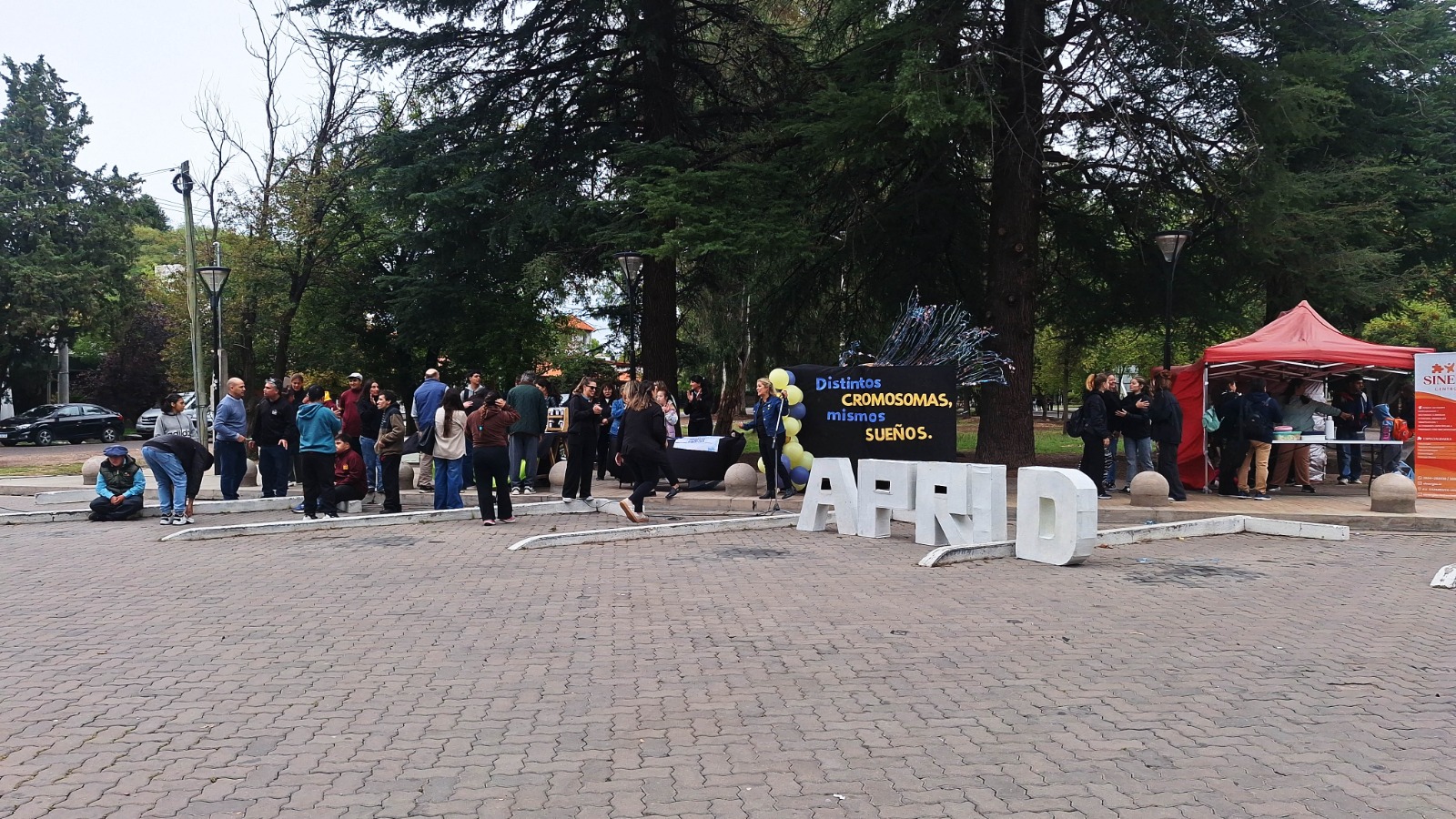 Caminata por la inclusión en el Día Mundial de las Personas con Síndrome de Down