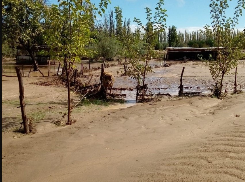 De $1.200 millones a $152 millones: fuerte recorte en un juicio contra Mendoza por un aluvió