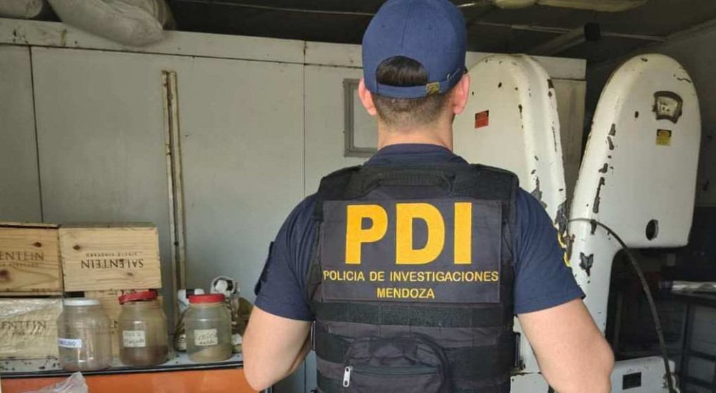 Detectan traslado ilegal de guanacos y decomisan 2.200 kilos de alimentos en mal estado en San Carlos