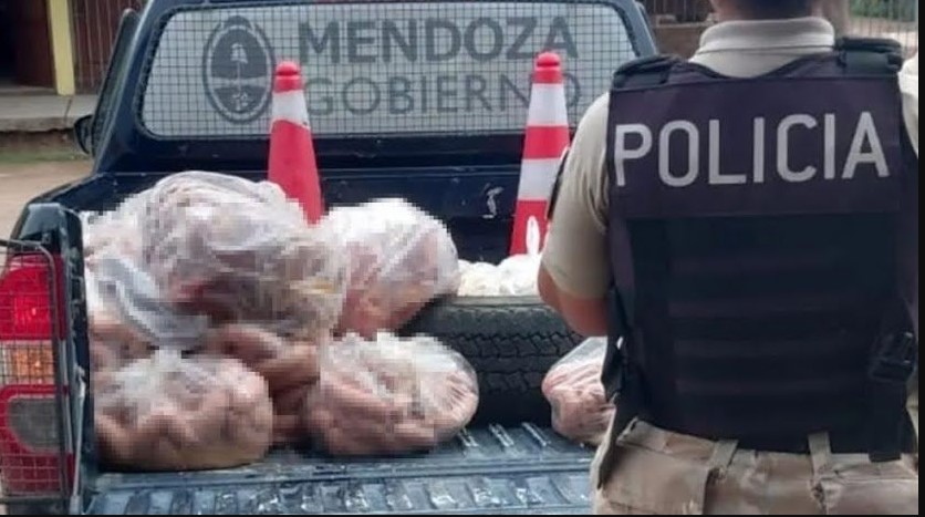 Control en Alvear detectó carne en mal estado y tenencia ilegal de fauna