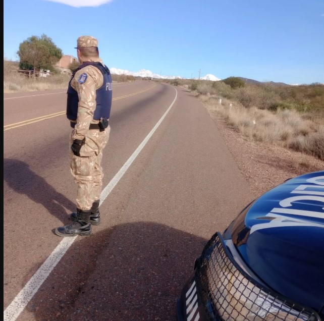Aprehendieron a una pareja por caza ilegal en El Sosneado