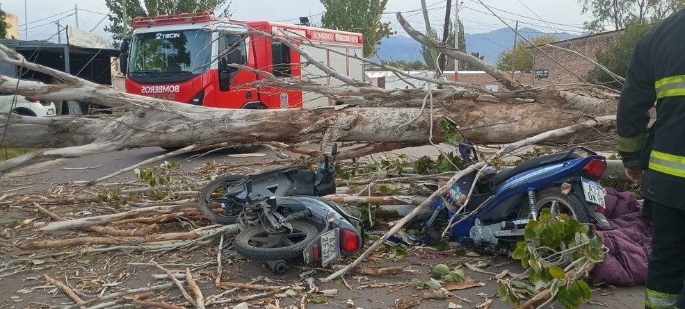 Tragedia en Las Heras: un motociclista murió y otro resultó herido tras la caída de un árbol por el Zonda