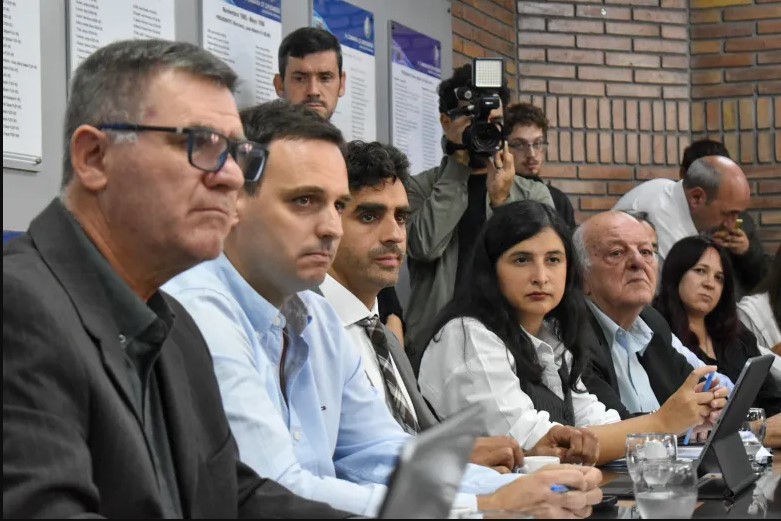 Reforma municipal en marcha: el Senado de Mendoza activa el debate por la autonomía comunal