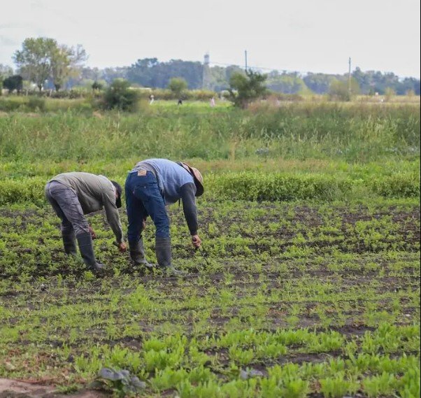 La crisis del agro: producir cuesta cada vez más y ganar es cada vez más difícil